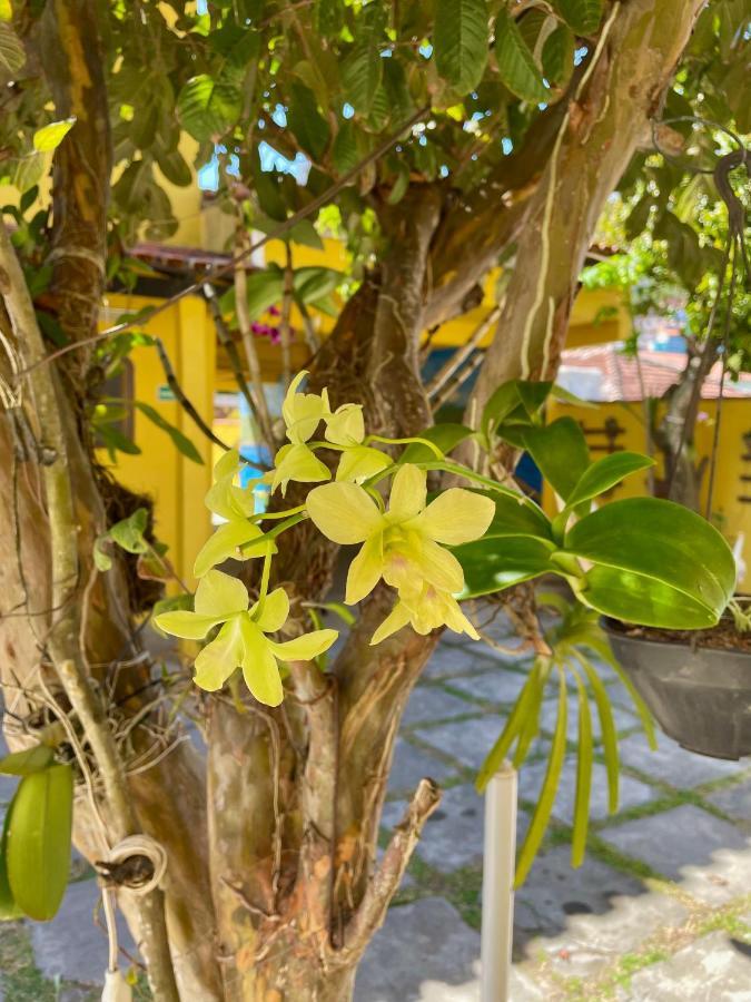 Pousada Toca Dos Coelhos Arraial do Cabo Exterior foto