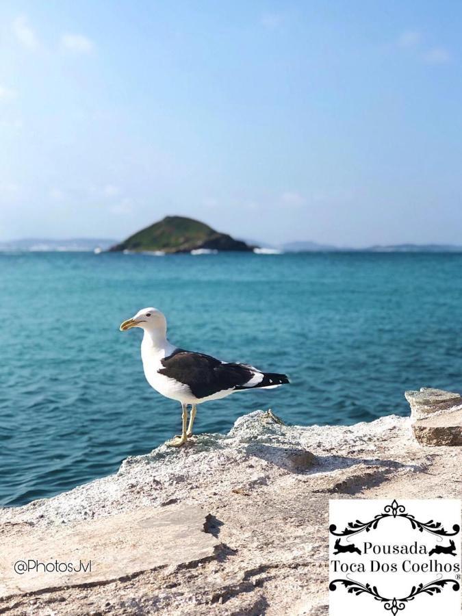 Pousada Toca Dos Coelhos Arraial do Cabo Exterior foto